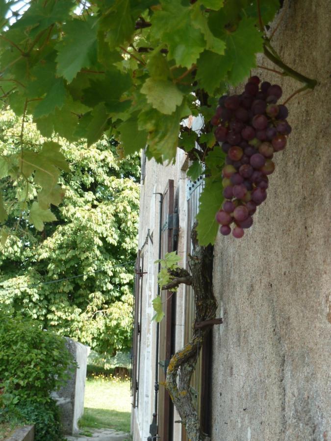 A L'Ombre Du Marronnier Gites La Peruse Eksteriør bilde