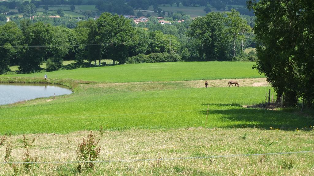 A L'Ombre Du Marronnier Gites La Peruse Eksteriør bilde
